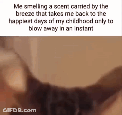 Me Smelling A Scent Carried By The Breeze Taking Me Back To The Happiest Days Of My Childhood GIF
