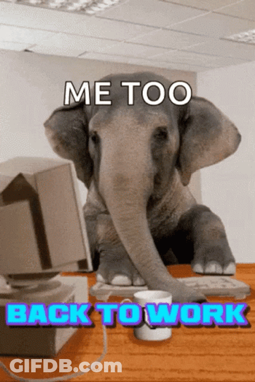 Me Too Elephant Working On Computer GIF