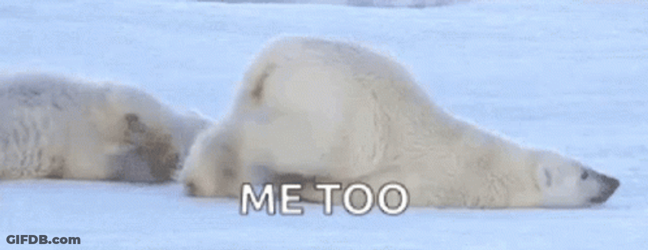 Me Too Lazy Polar Bear Sliding In Snow GIF