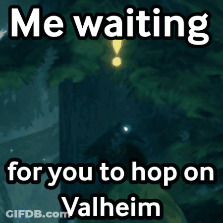 Me Waiting For You To Hop On Valheim GIF