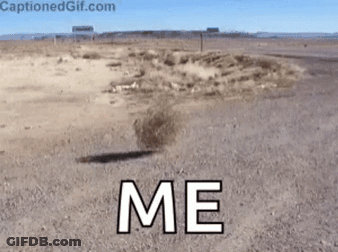 Me Walking In The Desert GIF