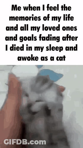 Me When I Feel The Memories Of My Life And All My Loved Ones And Goals Fading After GIF
