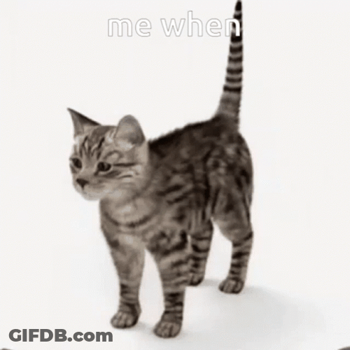 Me When Spinning Cat GIF