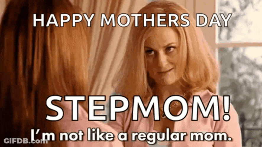 Mean Girls Amy Poehler GIF