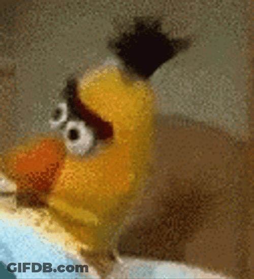 Mean Mug Sesame Street Bert GIF
