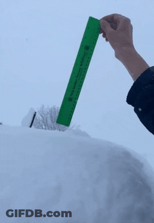 Measuring The Snow Storm GIF