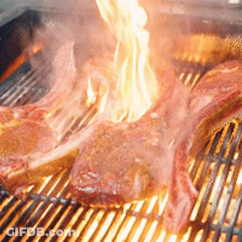 Meat Cooked On Grill With Flames GIF