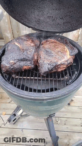 Meat Cooking On Green Egg Grill GIF