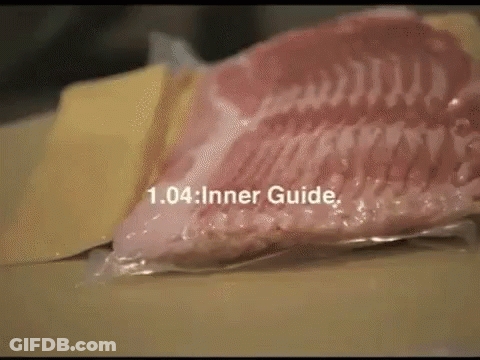 Meat In Plastic Bag With Text 1.04 Inner Guide GIF