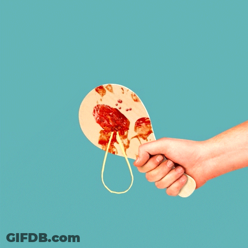 Meatball As Paddle Ball GIF