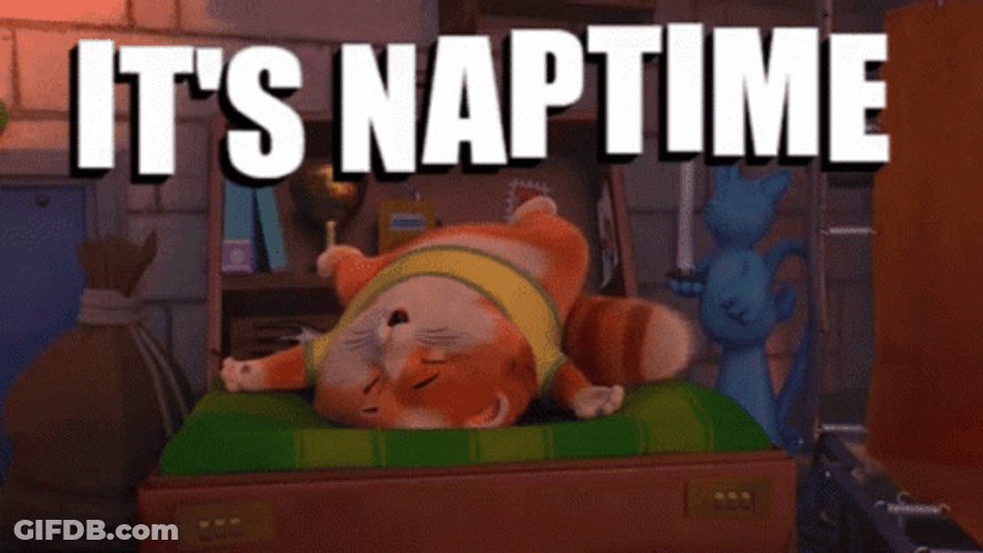 Meatball Has A Comfort Nap Time GIF