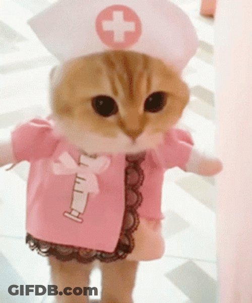 Médica Cute Kitten Nurse Costume GIF