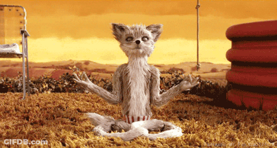 Meditation Fantastic Mr Fox GIF
