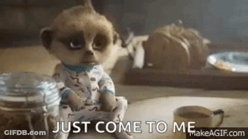 Meerkat Doll Sitting Next To Coffee And Cookies GIF
