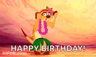 Meerkat From Lion King Dancing In Lei And Hula Skirt GIF