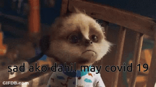 Meerkat Sitting In Chair Sad Ako Dahil May Covid 19 GIF
