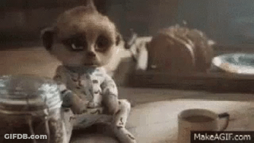 Meerkat Sitting Next To Coffee And Food Jar GIF