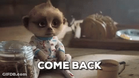 Meerkat Sitting With Coffee And Cookies GIF