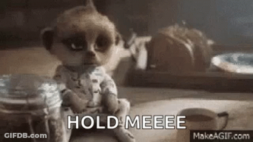 Meerkat Sitting With Food Jar GIF