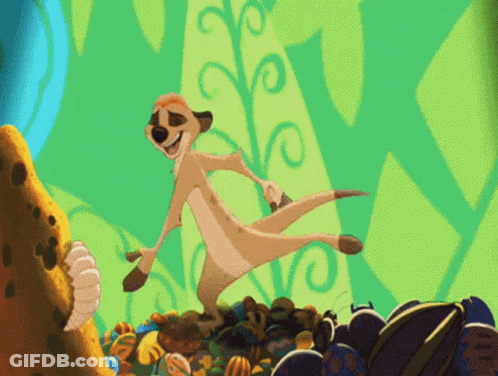 Meerkat Standing On One Leg GIF