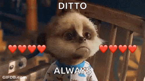 Meerkat With Red Hearts Ditto Always GIF