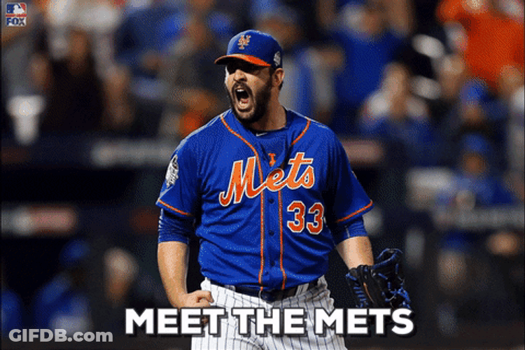 Meet Mr Met Players GIF