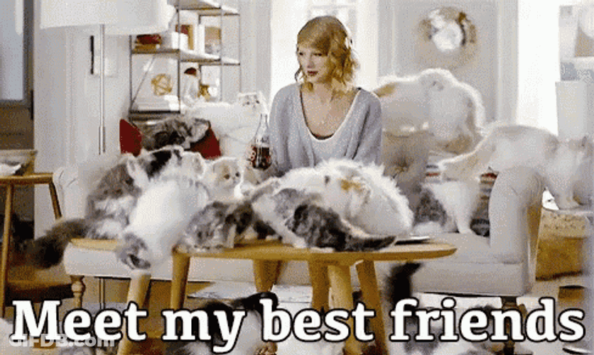 Meet My Best Friends GIF