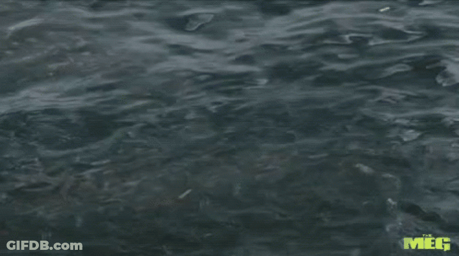 Meg Shark And Mosasaurus GIF