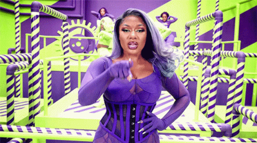 Megan Thee Wap Rap GIF