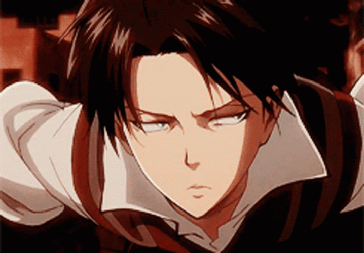 Meh Face AOT Levi GIF