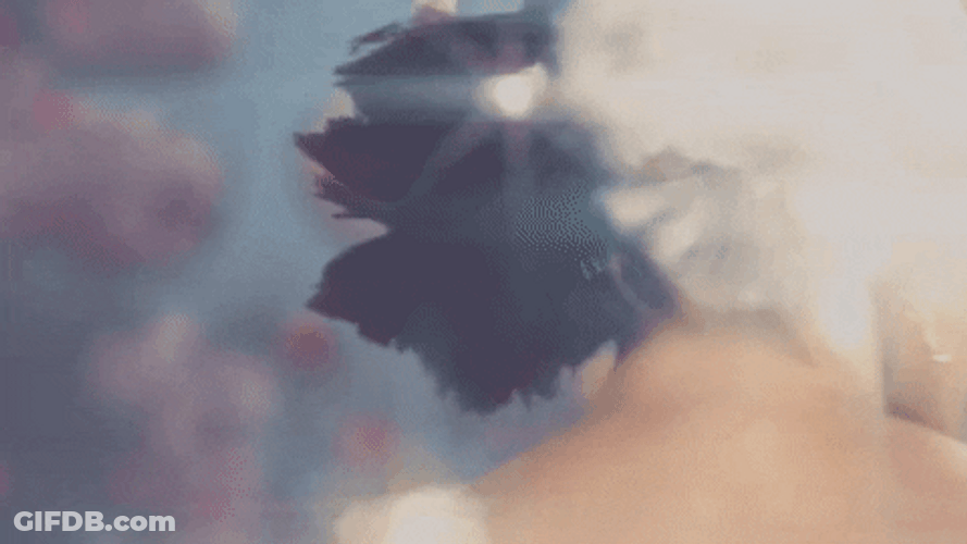 Melanie Martinez Elastic Face GIF