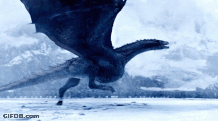 Meleys Flapping Wings Preparing To Fly GIF