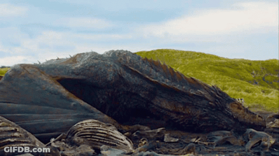 Meleys Massive Dragon Resting GIF
