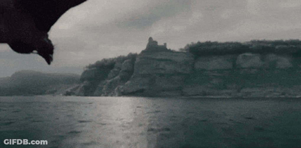 Meleys Soaring Above Water And Mountain GIF
