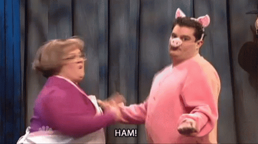Melissa Mc Carthy Pig Ham GIF