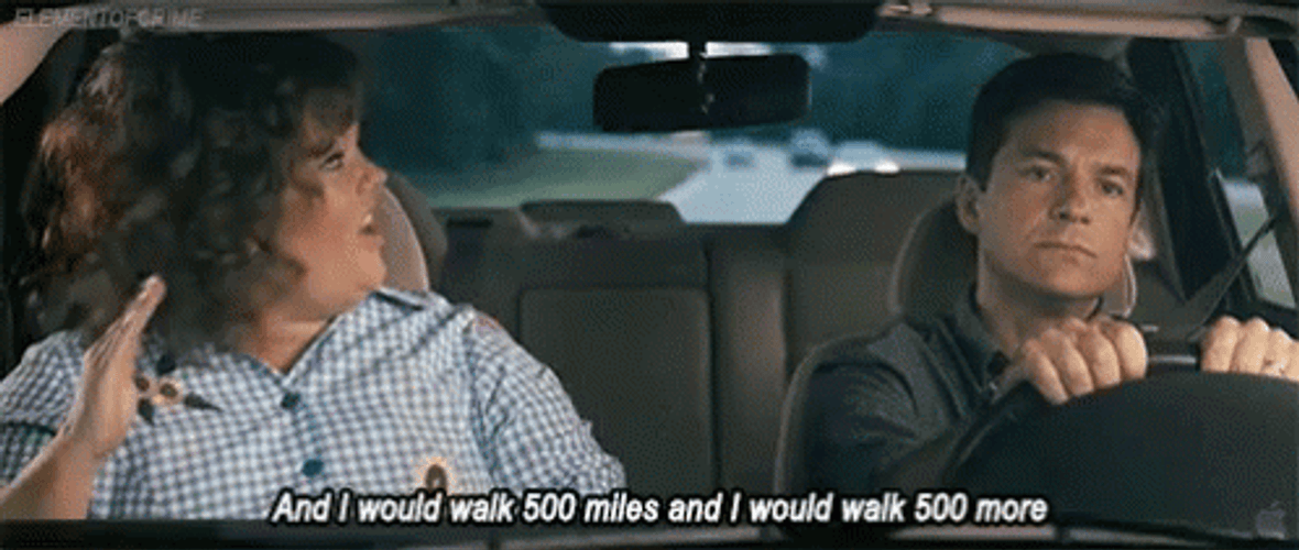 Melissa McCarthy Loving The Road Trip Meme GIF