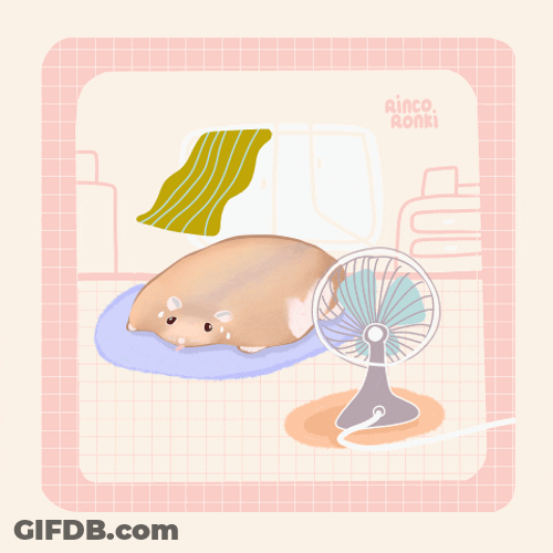 Melting Heat Wave GIF