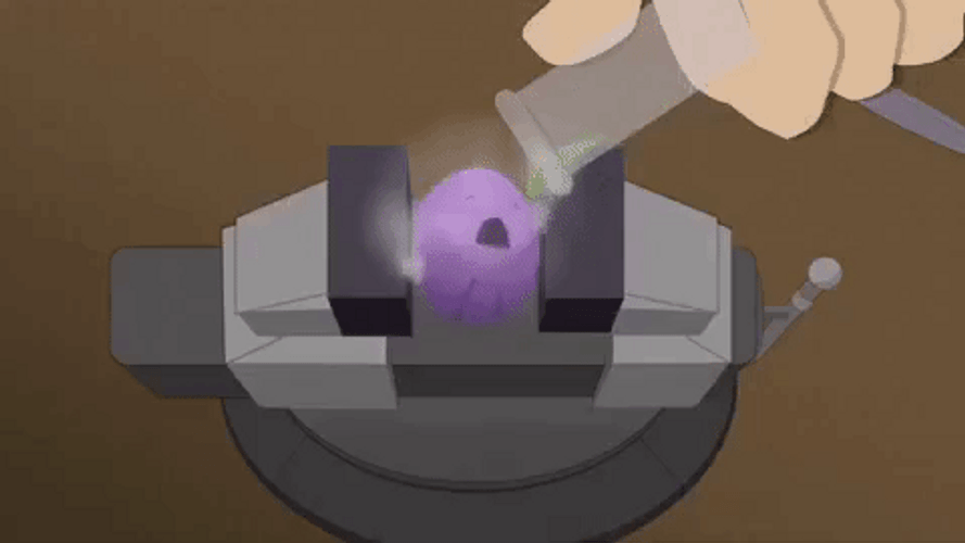 Member Berries Experiment GIF