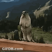 Meme About Planning 18+ On Chatrooms GIF