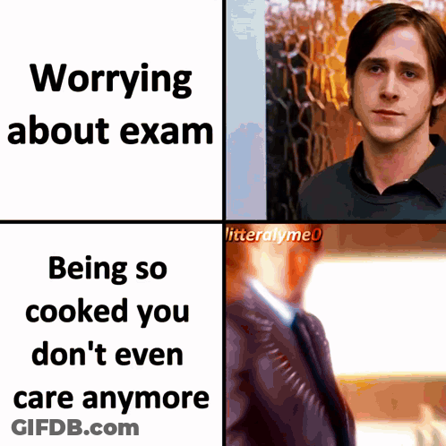 Meme About Worrying About Exam Being So Cooked You Don't Even Care Anymore GIF