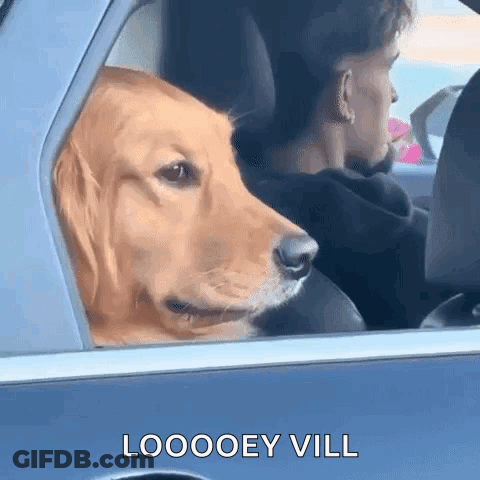 Meme Customdev After Watching Neon Genesis Evangelion And I Get It GIF