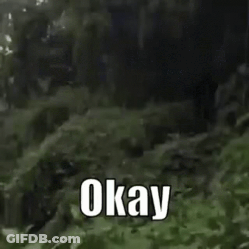 Meme Faces Man With Awkward Smile Okay GIF