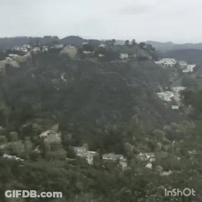 Meme Funny GIF