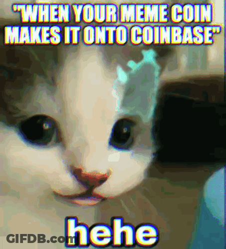 Meme Of Cat Saying When Your Meme Coin Makes It Onto Coinbase GIF