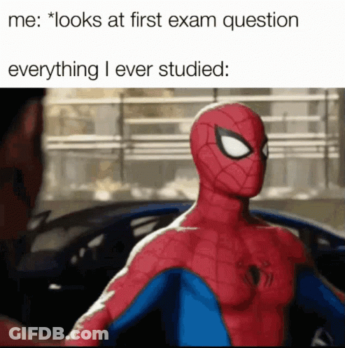 Meme Spiderman GIF