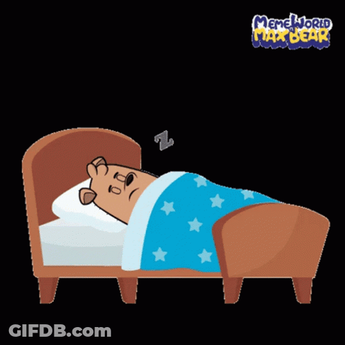 Meme World Of Max Bear Having Good Night Sleep GIF