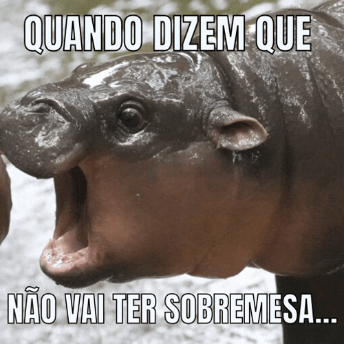 Memebrasileiro Moodeng Meme GIF