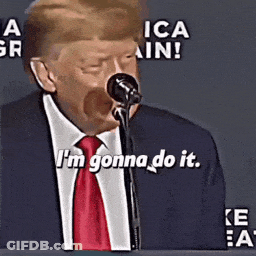 Memes Donald Trump Meme GIF