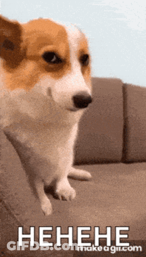 Memes GIF