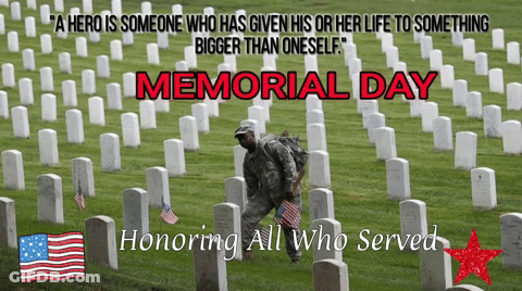 Memorial Day Poster Soldier In Cemetery GIF